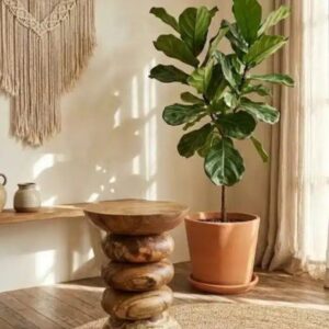 סטול דגם רינג עץ טיק מידה קוטר 35 ס"מ גובה 45 ס"מ